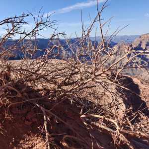 Grand Canyon 4