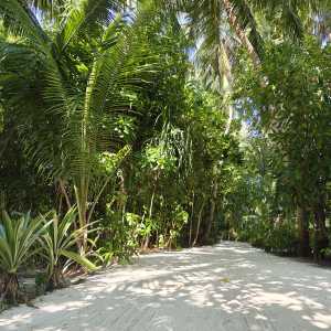 Maldives 4