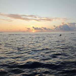 Maldives 6