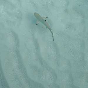 Maldives 7