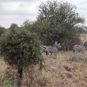 Nairobi 2